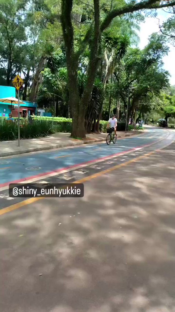 MeSy On Twitter When You Wanna Go For A Healthy Walk To Burn mesy-on-twitter-when-you-wanna-go-for-a-healthy-walk-to-burn