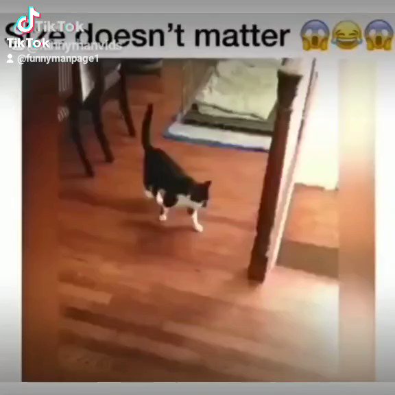 Peter danen on twitter rt viralposts5 size doesnt matter 