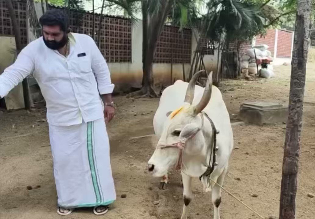 Navin Raja On Twitter RT amarprasadreddy My Culture My Pride igbanmawn-ndi-igbo-my-culture-my-pride-youtube
