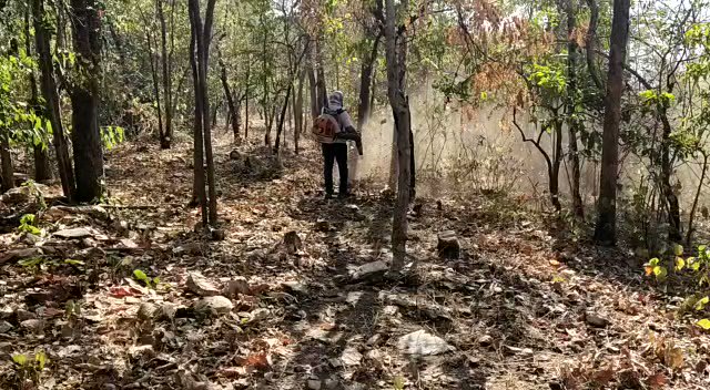 Fireline helps in restricting forest fire. Volunteering with Forest Guard R R Sethy and Fire watcher Niladri for the creation of Fireline in the top of the mountain at Bulajhar Reserve Forest.@angul_dm,@rccfangul,@DFOAngul ,@Yogajayanand https://t.co/dtw4A4Wi2n