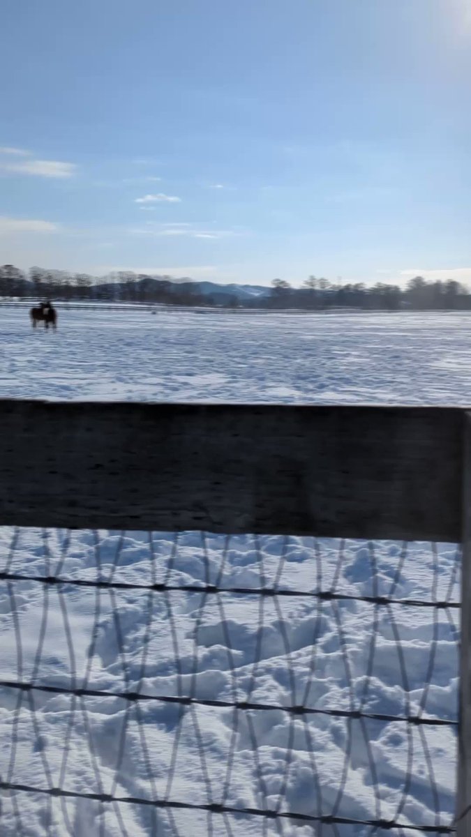 まめちん、レジリエンスアイもバケルも勝ったよー！
子どもたち、頑張ってるよ！ 