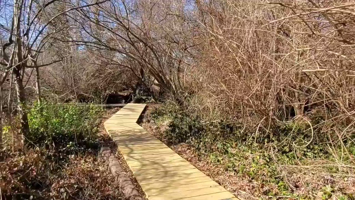 NYC Parks on Twitter "Join for our Wednesday Walk on this sunny day in