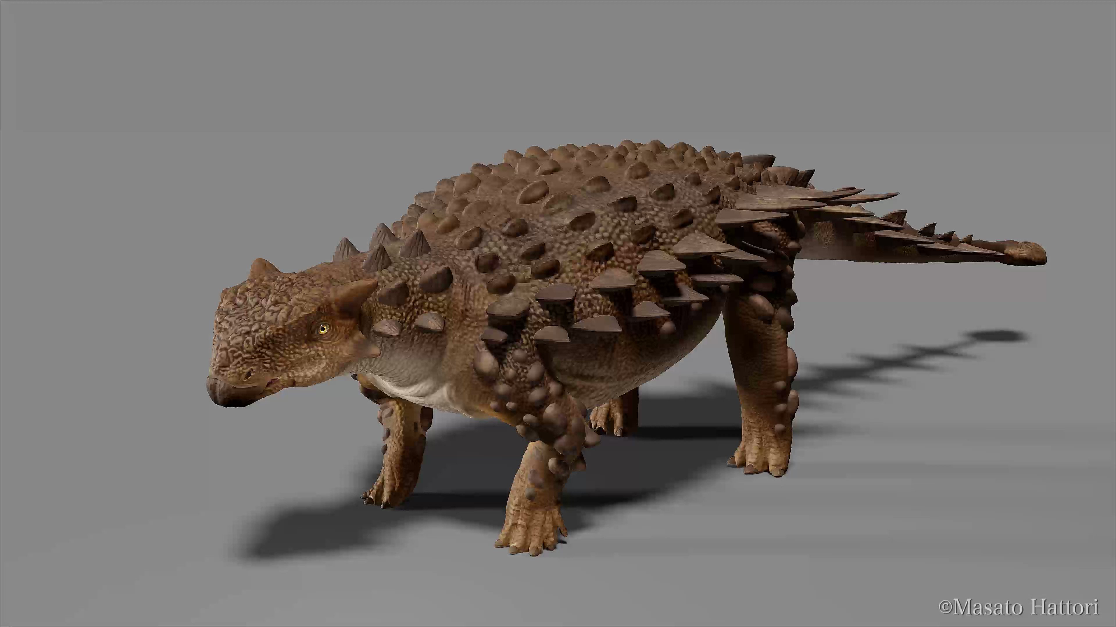 アンキロサウルスのscute 化石