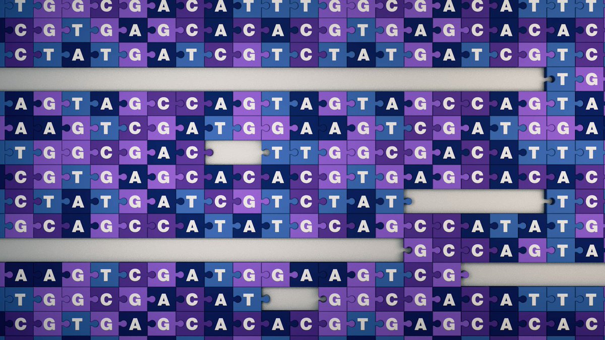National Human Genome Research Institute on Twitter: ".@Genome_gov researchers have developed and released an innovative software tool called Verkko for assembling truly complete genome sequences from a variety of species! Verkko makes ...