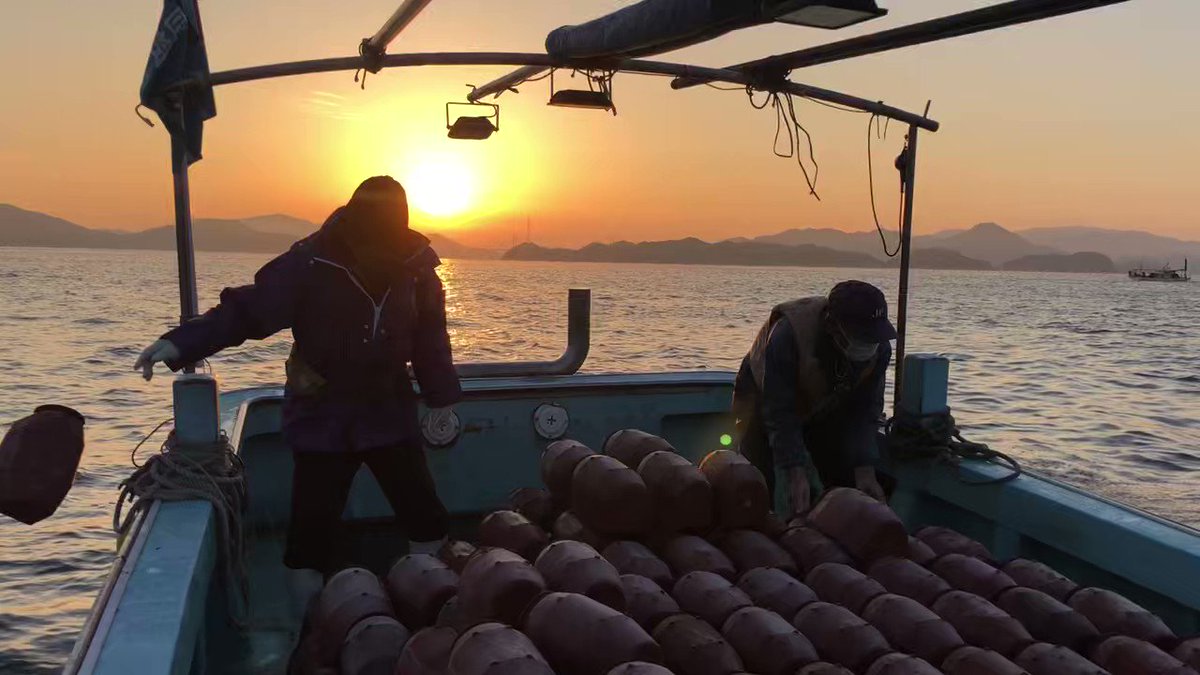 三原やっさタコ (@miharayassatako) / Posts / X