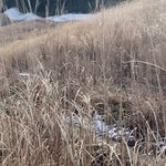 【箱根】一の湯グループ@もっと旅を身近に!のツイート画像
