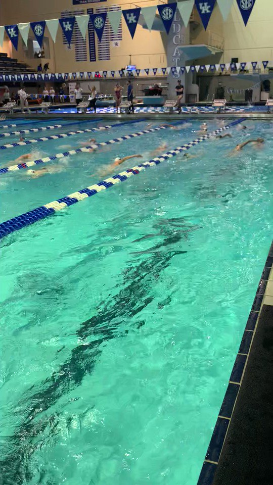 Murray High Athletics on Twitter "Girls’ KHSAA State Swim Meet. Our