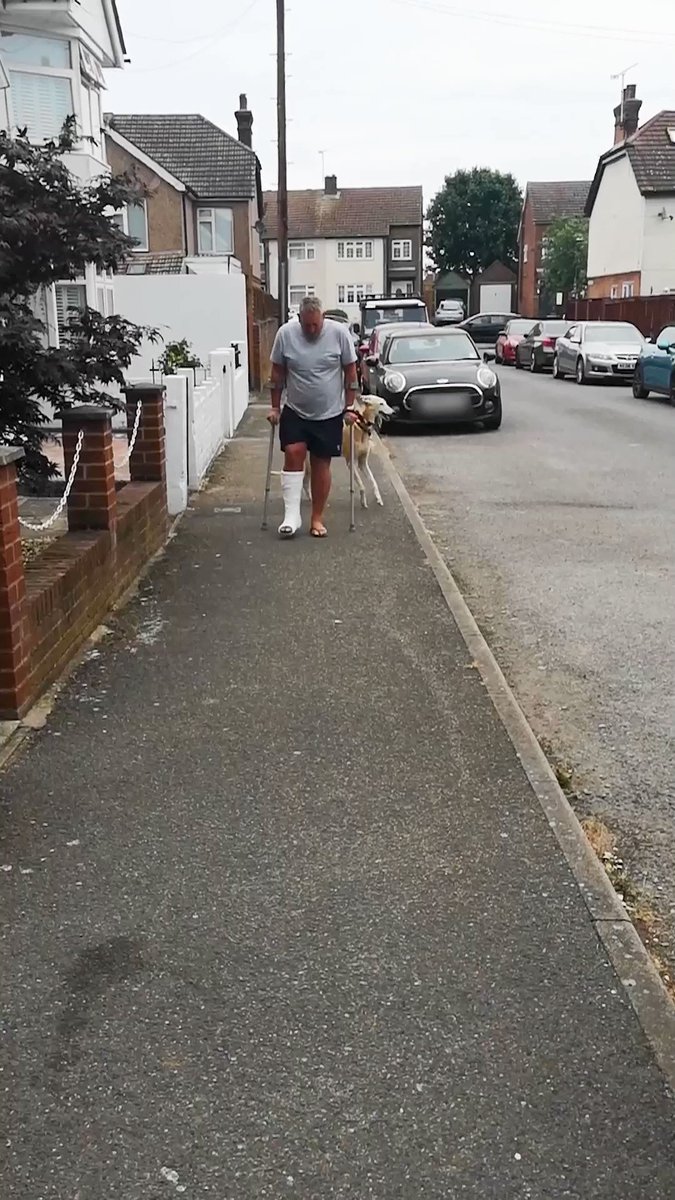 CCTV_IDIOTS on Twitter "Sympathy or taking the p**s 😂"
