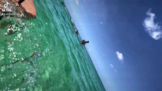 best day ever https://t.co/nPRnTLdDdt<a href="/tag/newprofilepic"class="tags"><span>#newprofilepic</span></a>