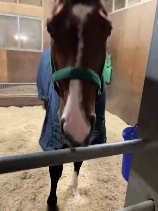 武庫川S
◎アルナシーム
〇セルバーグ
▲トーホウディアス
△メモリーレゾン
△カワキタレブリー
☆ショウナンアレス

今年の初戦、がんばれアルナシームくん👍 