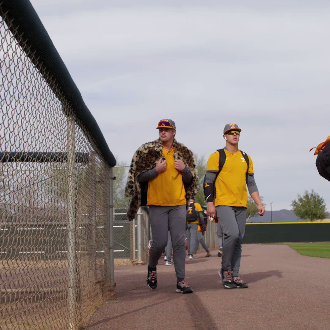 Tennessee Baseball on Twitter: "Vols in the 🏠 #GBO // #OTH // #