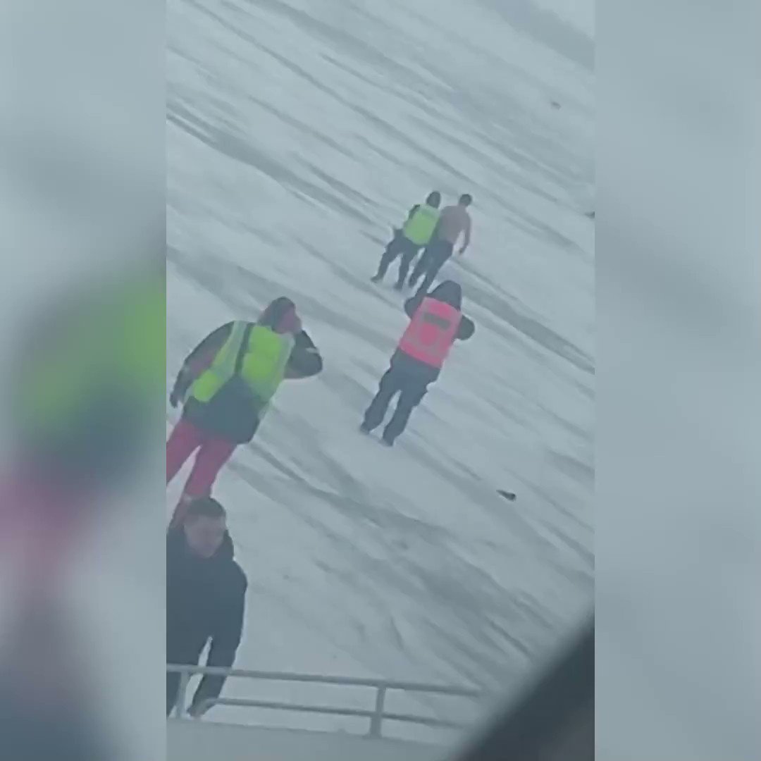 коган аэропорт домодедово