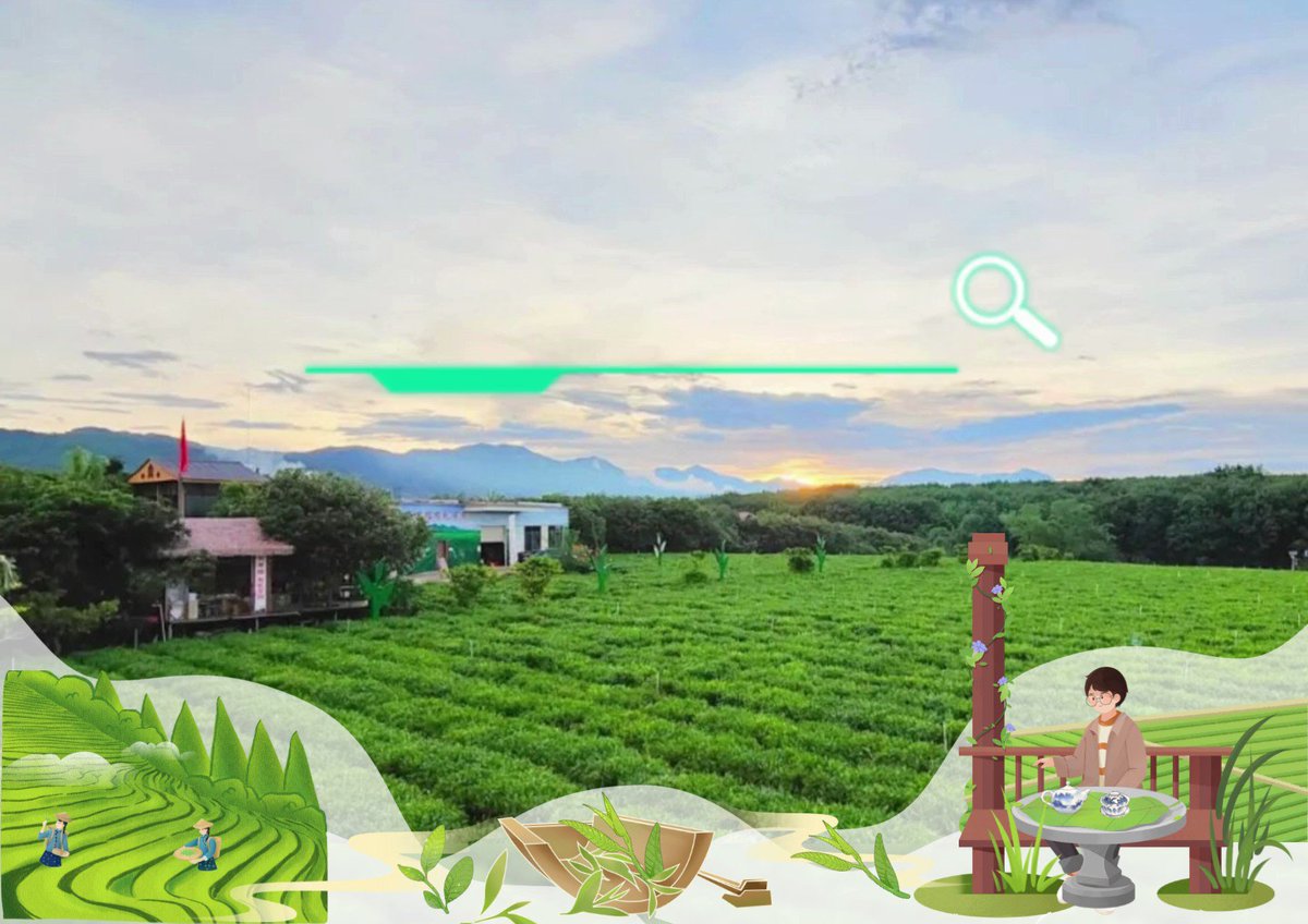 Explore Hainan on Twitter "Baisha Green Tea grows in a magical meteor