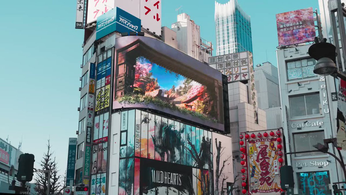 New 3D Advertising ビジュアルマジック 手品 品切れの商品 - 通販