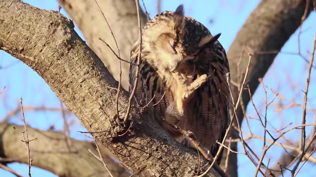 Sheryl Checkman on Twitter "I feel pretty! Nothing like a little pre