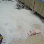 どうしてこうなった。帰ったら家の中がめちゃめちゃになってた