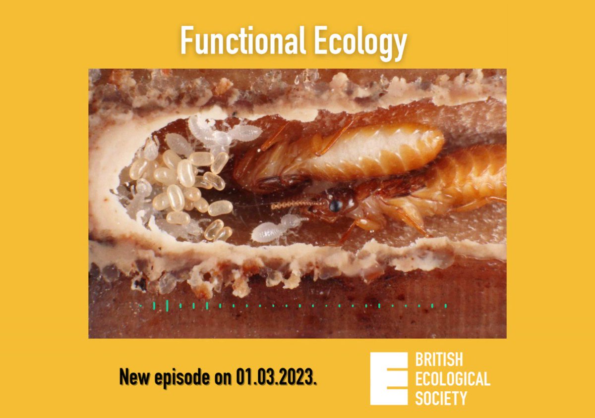 Journal of Animal Ecology (@AnimalEcology) / Twitter Journal of Animal Ecology (@AnimalEcology) / Twitter