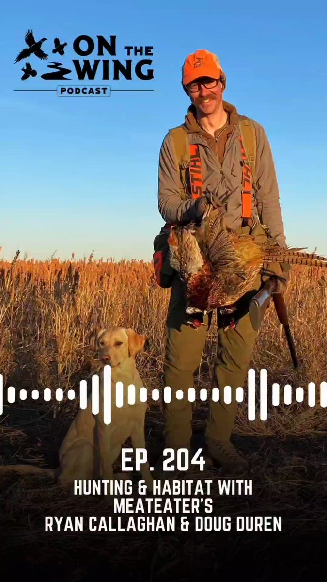 Bob St.Pierre on Twitter "New pheasants4ever and quail4ever On The