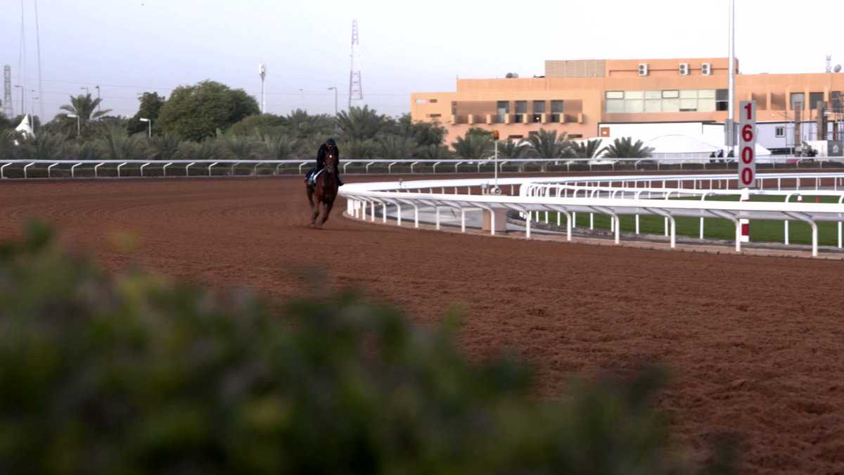 🏆サウジカップ
ジオグリフ最後モレイラ先生に
抜かれたけど、コパノキッキング
みたいに良い足捌きの追いきり
だったもんね👍
来年も行こうぜ😘 
