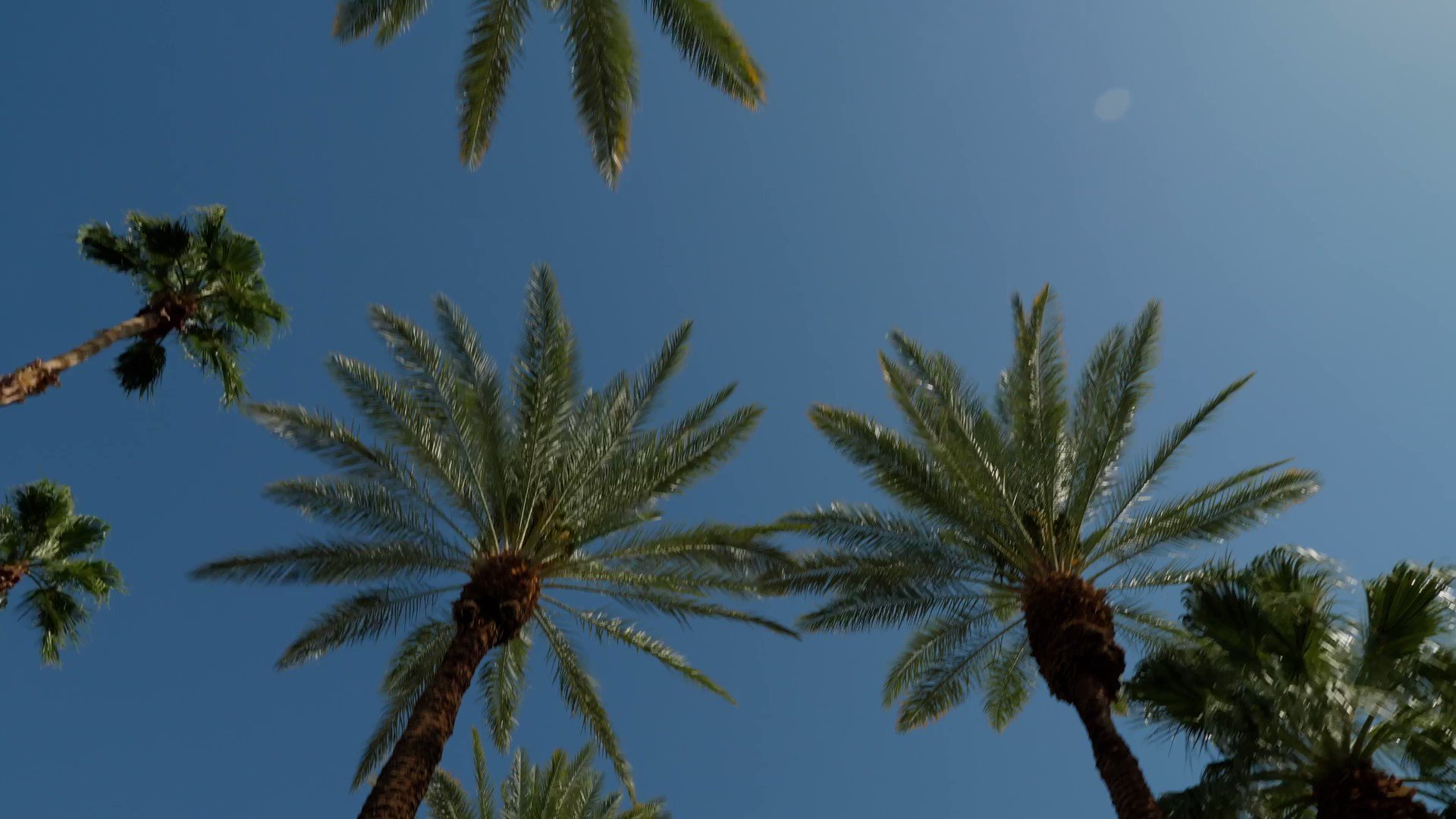 psta-on-twitter-explore-clearwater-beach-with-us-our-psta-shuttle