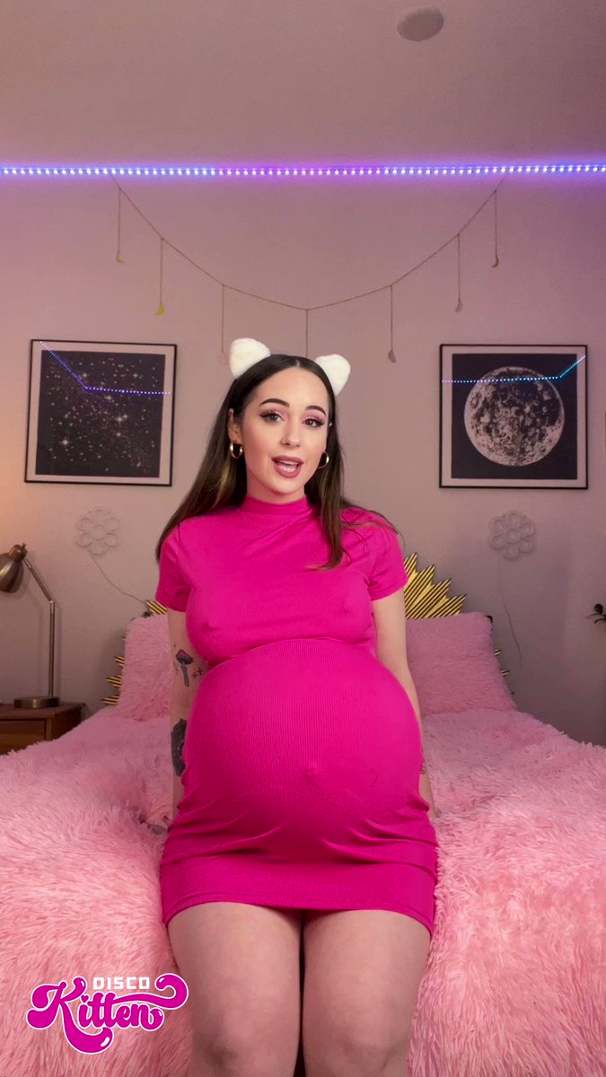 Pregnant disco kitten