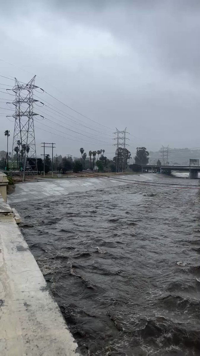 Remember this video? It received a LOT of questions and comments about stormwater capture in LA. Join me for a panel discussion about it tomorrow, World Water Day, with experts from @mwdh2o @TreePeople_org @UCLAIoES @cwea 

More info here: 
https://t.co/EYOSFGDe9o https://t.co/5g9LRO0apZ