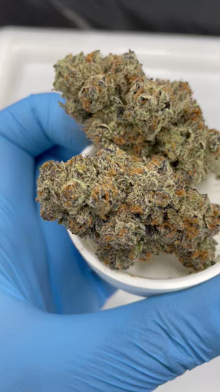 Kush Alley (KushAlley_) / Twitter