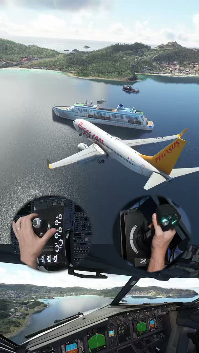 Microsoft Flight Simulator ✈️ on X: We are thrilled to welcome Famous  Flyer IV, the Antonov AN-225, to the #MicrosoftFlightSimulator Marketplace!  ✈️ This awe-inspiring aircraft is available on PC for $19.99, and