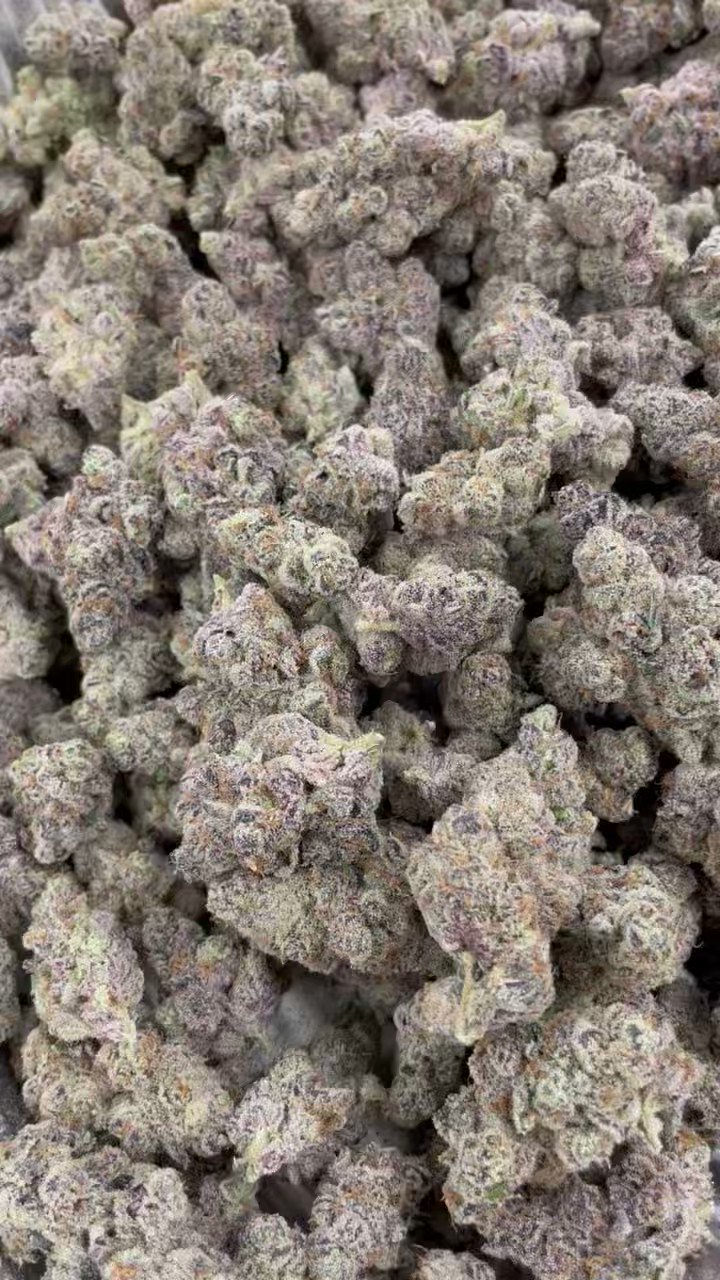 Kush Alley (KushAlley_) / Twitter