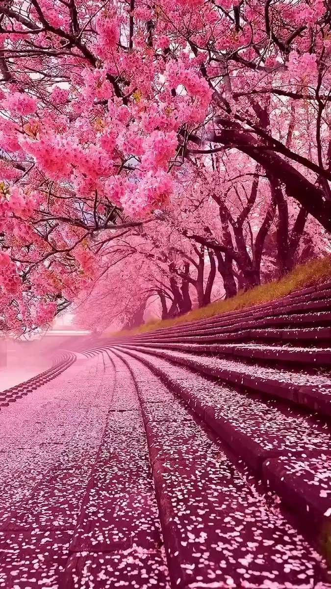 Purple Paradise Neon 💭🦁👑💜🦄🌌🌟🐘🎆🌴🇮🇳 (@Jasmeetkaur40) / Twitter Purple Paradise Neon 💭🦁👑💜🦄🌌🌟🐘🎆🌴🇮🇳 (@Jasmeetkaur40) / Twitter