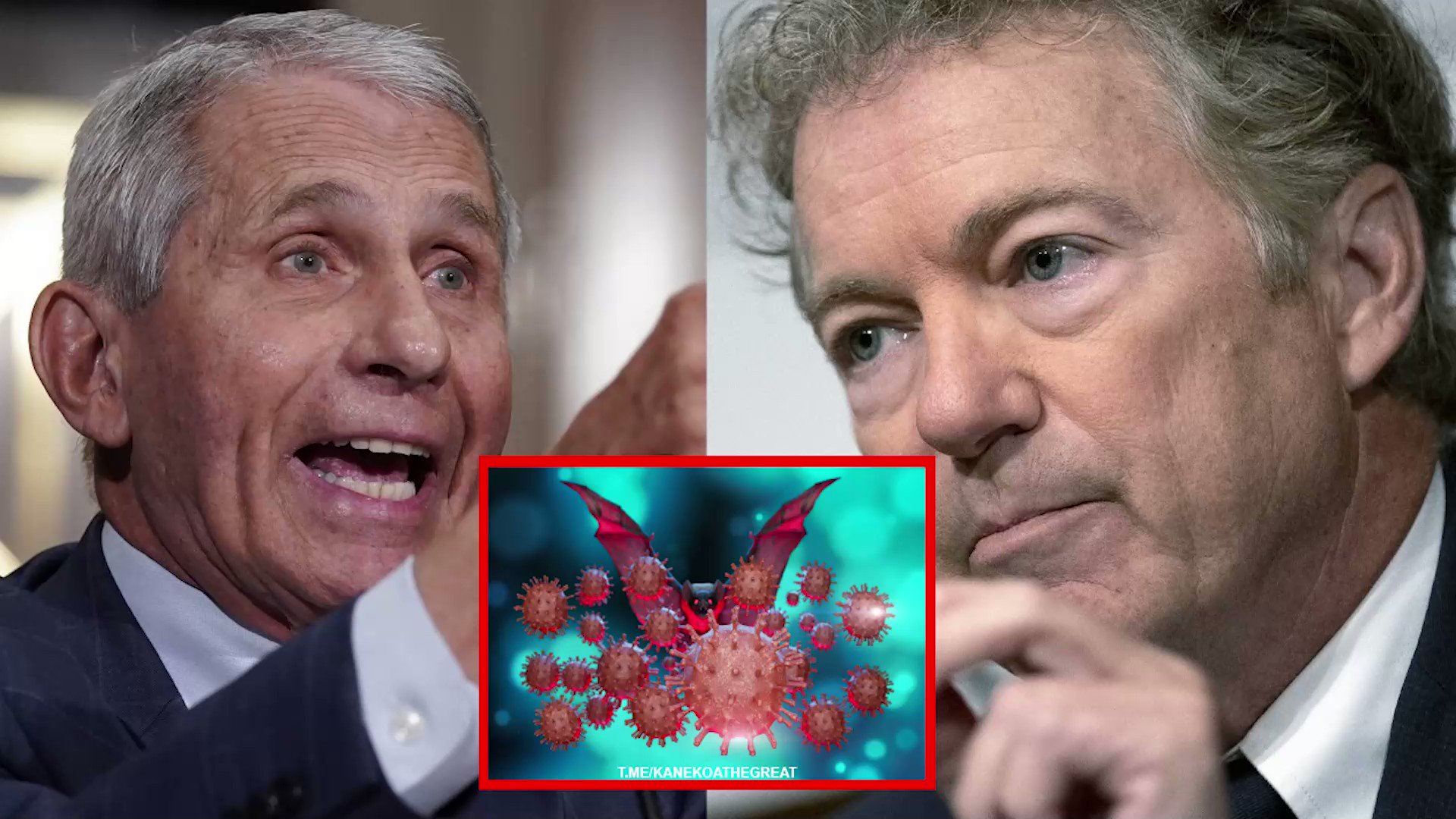 Collin Rugg On Twitter What s The Punishment For Lying To Congress for Img 34