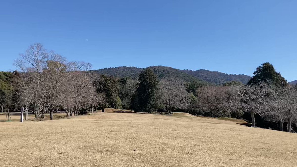 【良いお天気】 きれいな青空で気持ち良いです。 そして鹿が(人も)まったくいないです。