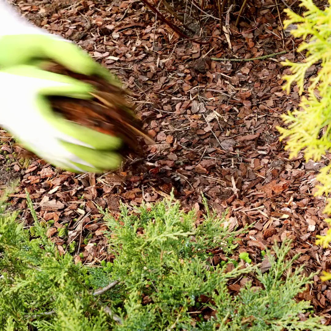 Austin Water on Twitter "Now is the time to get your mulching