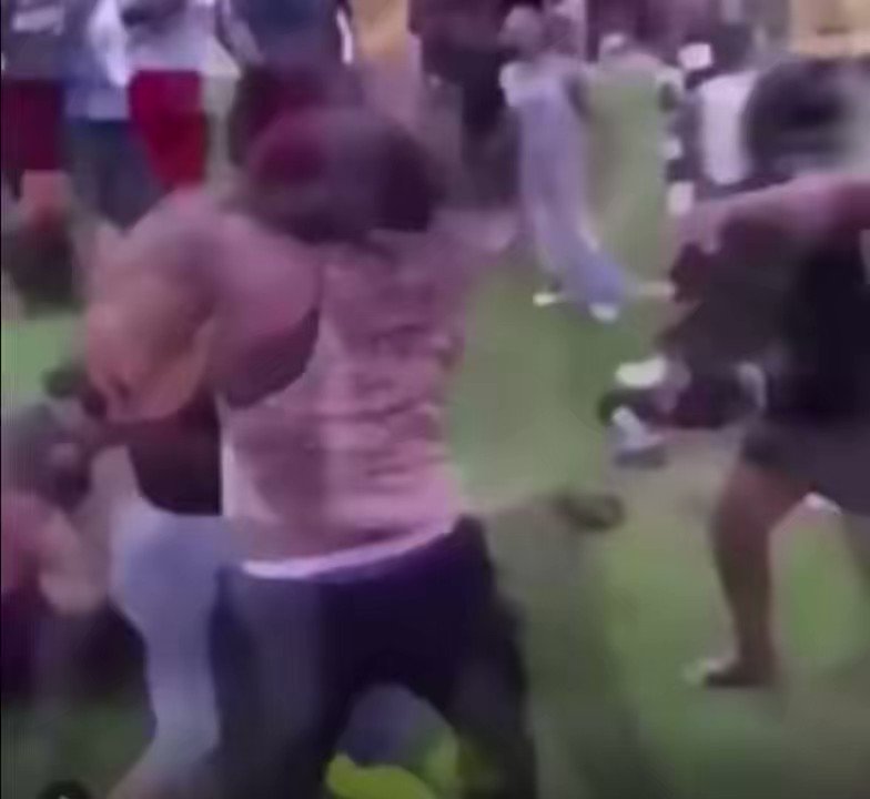 Girl fights😹 on Twitter