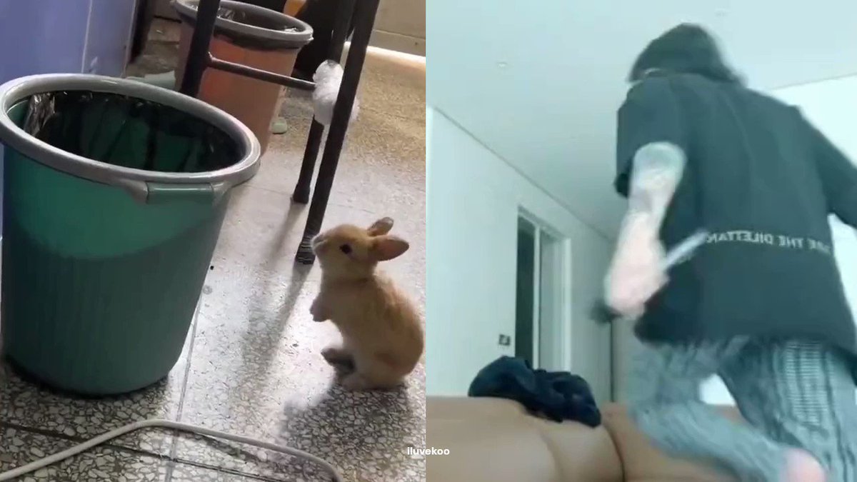 on Twitter "bunny jump"