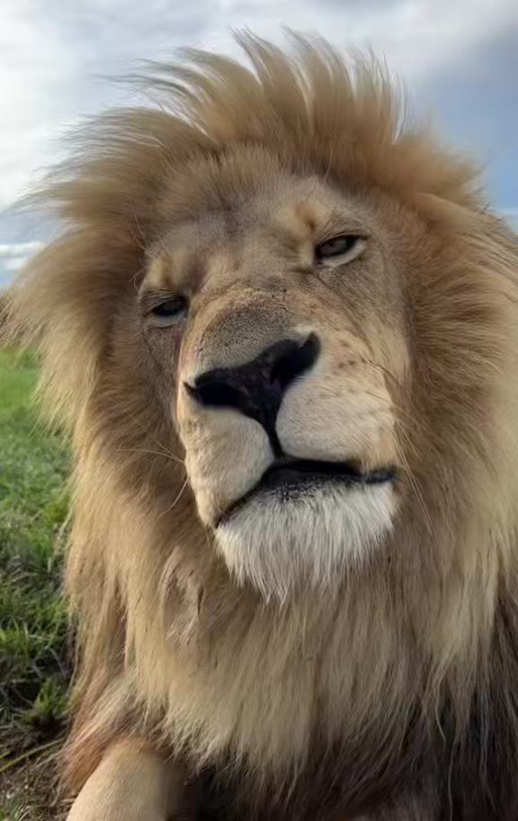 Fawz Rashid on Twitter: Fawz Rashid on Twitter: