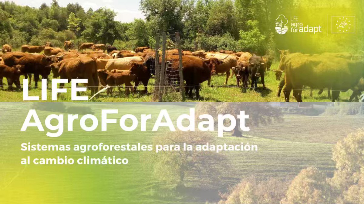Agroforadapt | Sistemas AgroForestales para la adaptación la cambio  climático de espacios agrícolas y forestales mediterráneos
