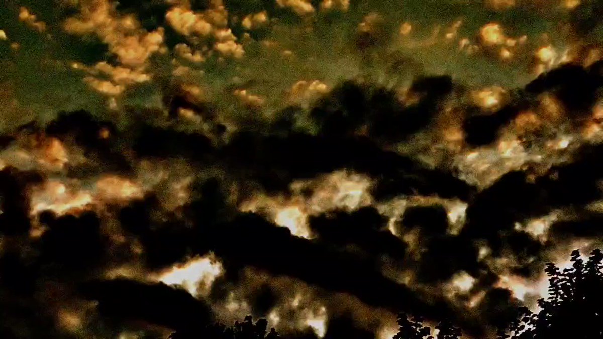 Noisy alien hunter on twitter sylph aliens trillions of tiny