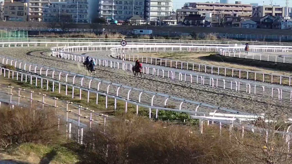 トーホウスザクの追い切りに騎乗しているのが、酒井忍調教師😳、胸熱や🥺 