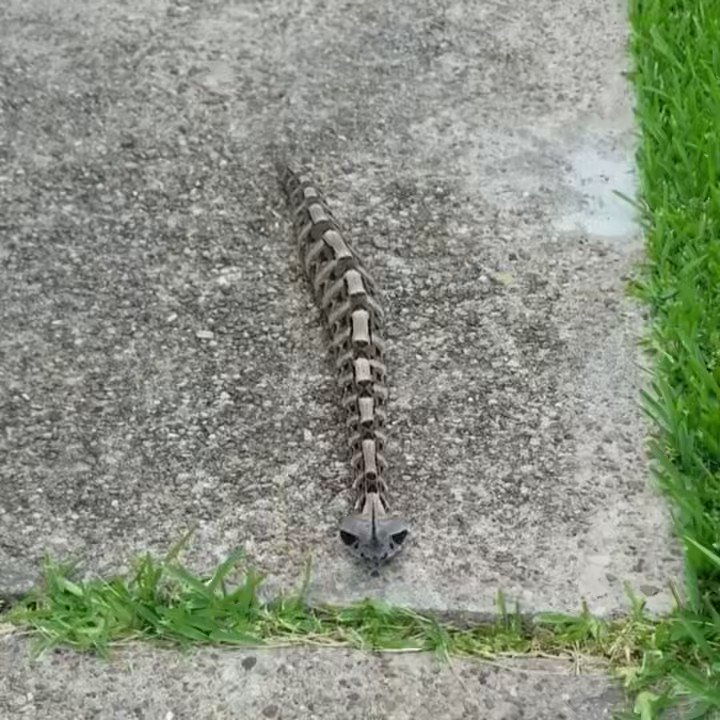 Человек ползет на четвереньках. Человек на четвевереньках. А что это ползет. Понедельник на работу прикольные. Ребенок ползет за игрушкой.