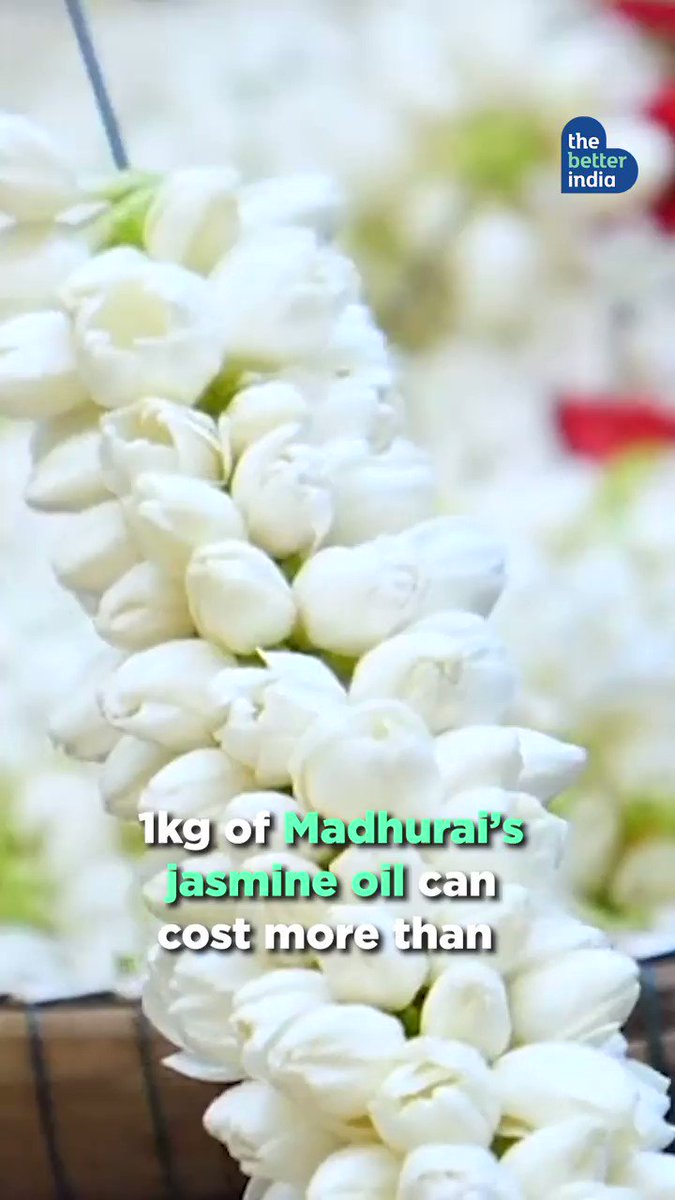 Mise en scene on Twitter "RT iMavvy_ Did you know that 1kg of