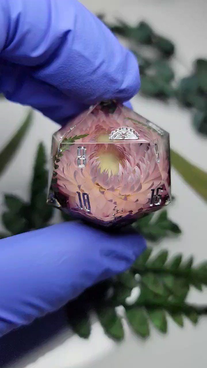 Dice Dumpling (dicedumpling) / Twitter