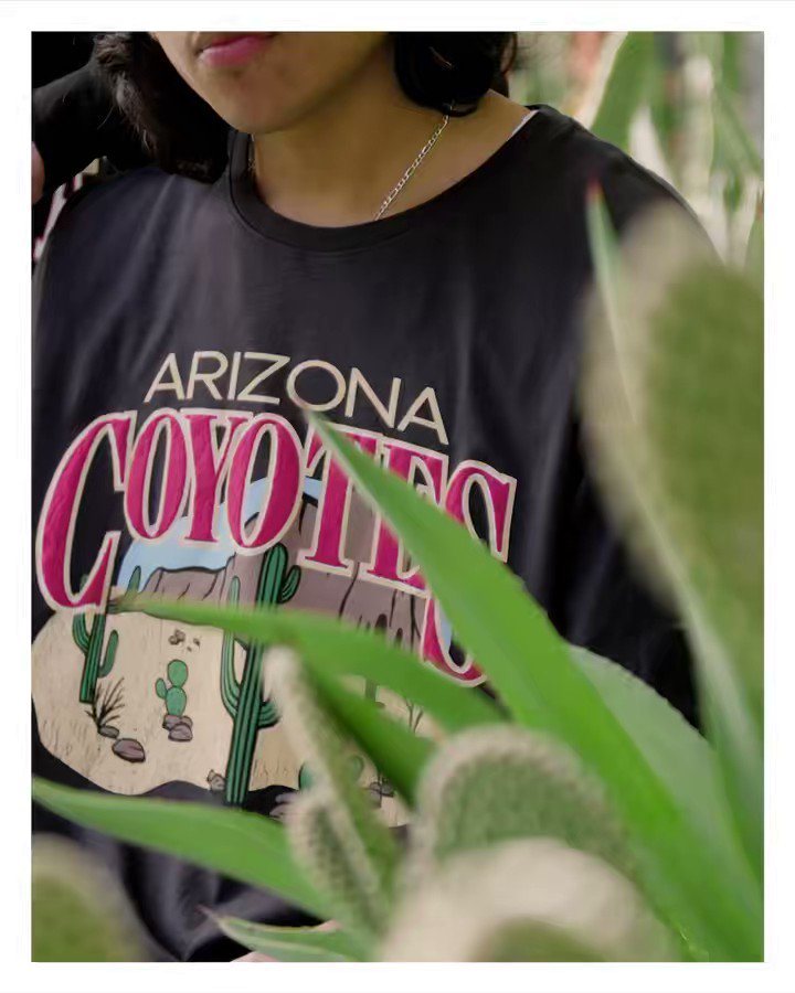 The Coyotes have released Arizona-themed special edition, “Desert Nigh