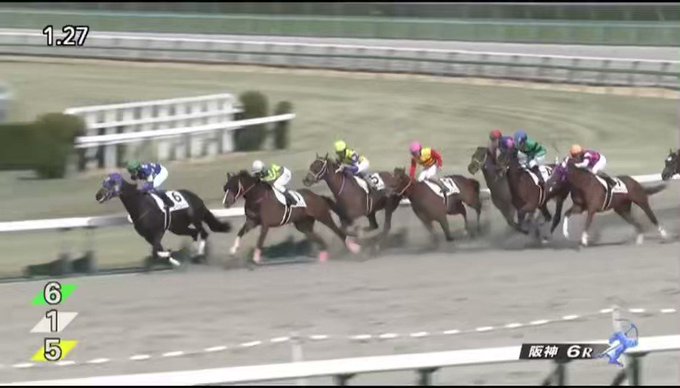 限定価格セール まねき馬 まねき馬倶楽部 東ハト 競馬カード 今村聖奈