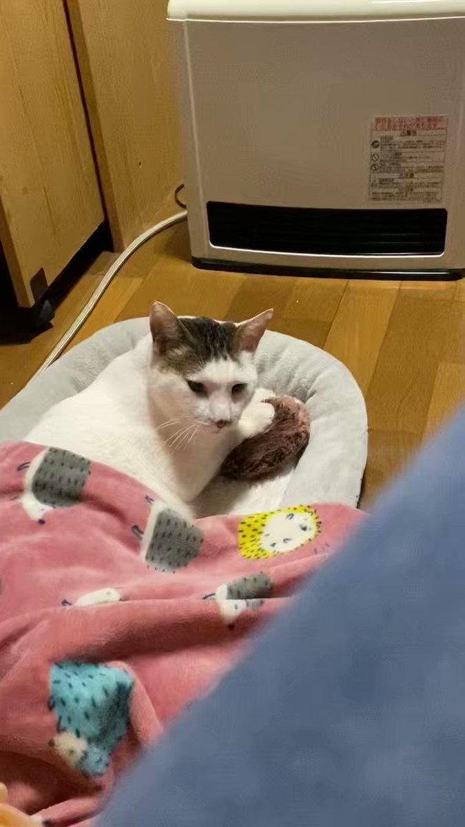 ぐで猫 三色団子 No.322 linkbits.online