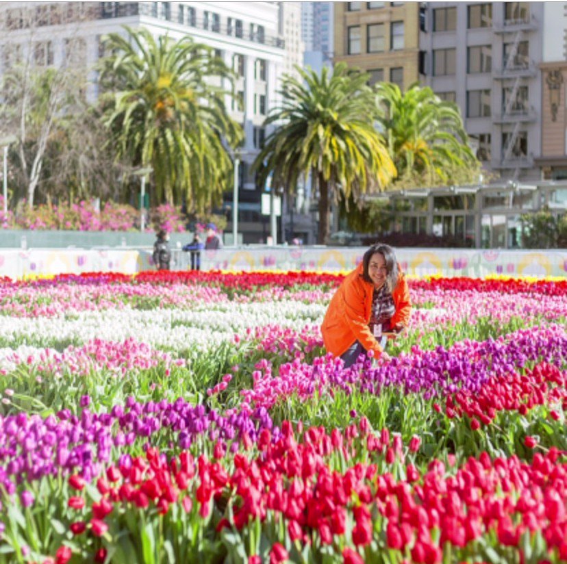 Consulate of France in San Francisco new address - MerciSF