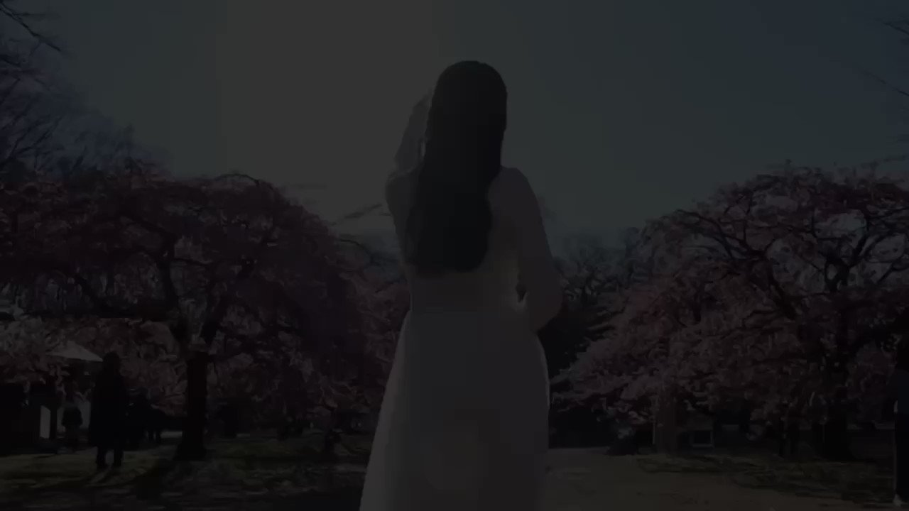 白咲くるみ　写真　衛星とカラテア karatea_art202407_shirosaki.