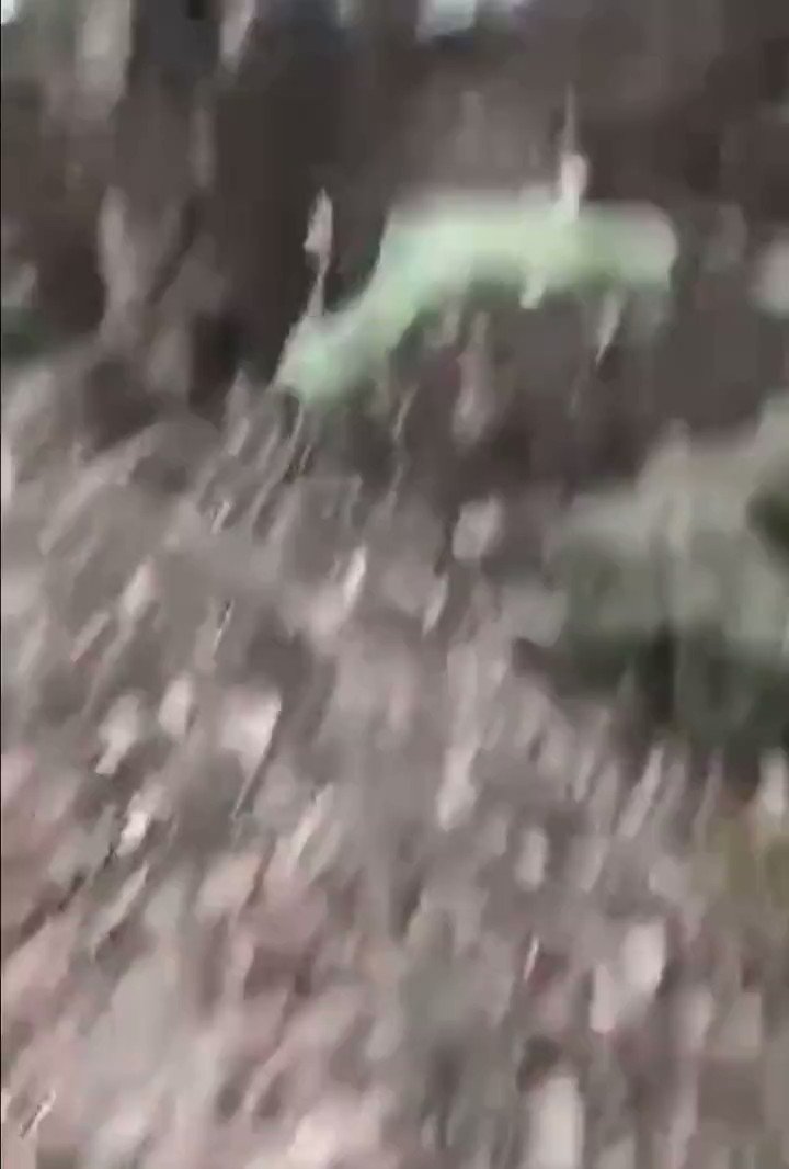 [問卦] 烏克蘭老兵自尋死路？