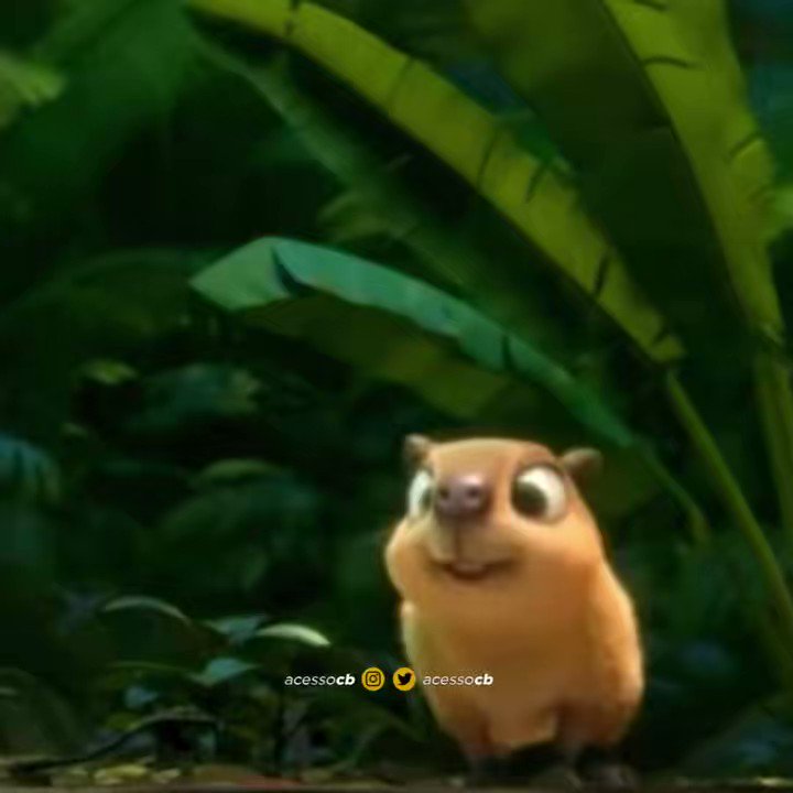 Clara the Capybara - Rio 2