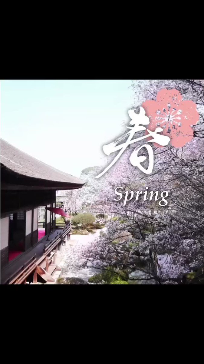 滋賀県【円満院】大津絵 特別御朱印 | fpac.com.br